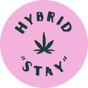 Hybrid Cannabis Strain